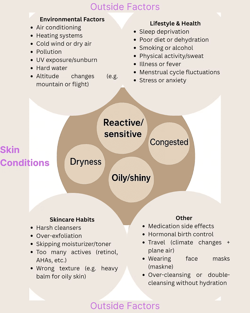 A visual overview of all the skin conditions that exist and all the outside factors that can alter it.