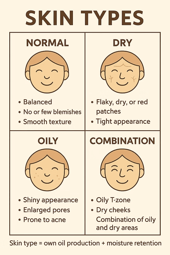 Visual that shows the 4 skin types and some of its characteristics.